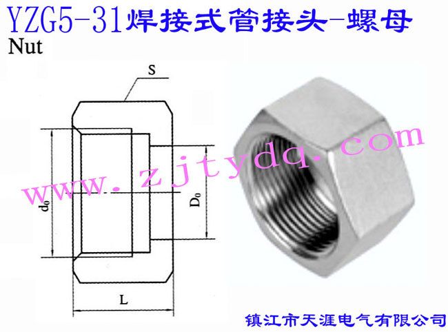 YZG5-31 ʽܽ^-ĸNut